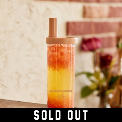 【預購已結束，1/9陸續出貨】NCKU X ElephantCuppa_騎向成功環保大象杯_赤陶橘