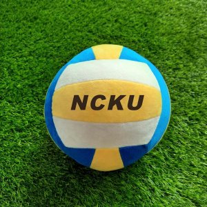 【最後20顆，售完不補】成大人的玩具_NCKU1:1刺繡仿真排球抱枕